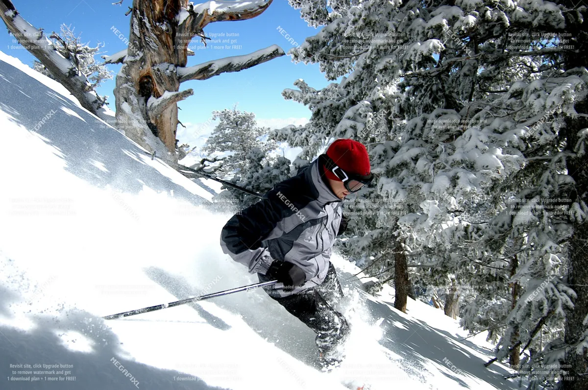 An action-packed exterior scene showing a skier amidst a snow-covered landscape and trees. The image captures the excitement and camaraderie of winter sports activities available nearby, tying in with the mention of Anthony Lakes and discounted lift tickets.