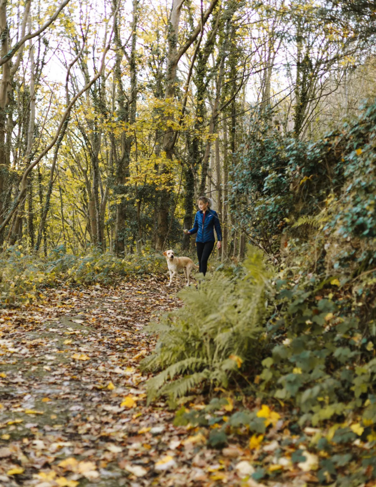 A woman walks her dog along a forest pathway lined with vibrant autumn foliage. The serene setting highlights a peaceful, nature-filled environment ideal for dog walking, self-reflection, and enjoying the outdoors.