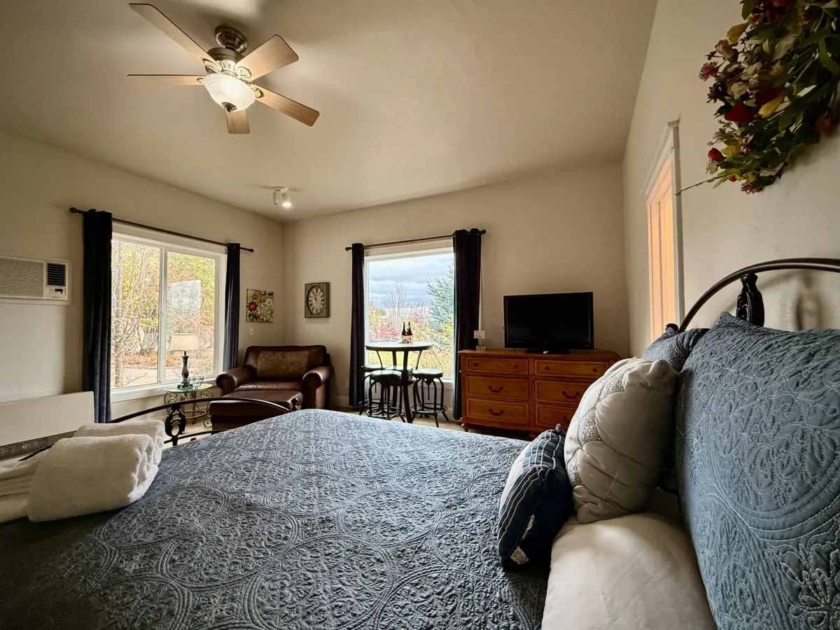 The image showcases a bright, inviting studio interior featuring a plush, queen-sized bed with decorative bedding, a cozy chair positioned for relaxation, and a small dining table set beside a large window that offers scenic views. Soft natural light fills the space, highlighting the tasteful décor, a TV, and a dresser adorned with thoughtful touches, creating a tranquil and comfortable atmosphere.